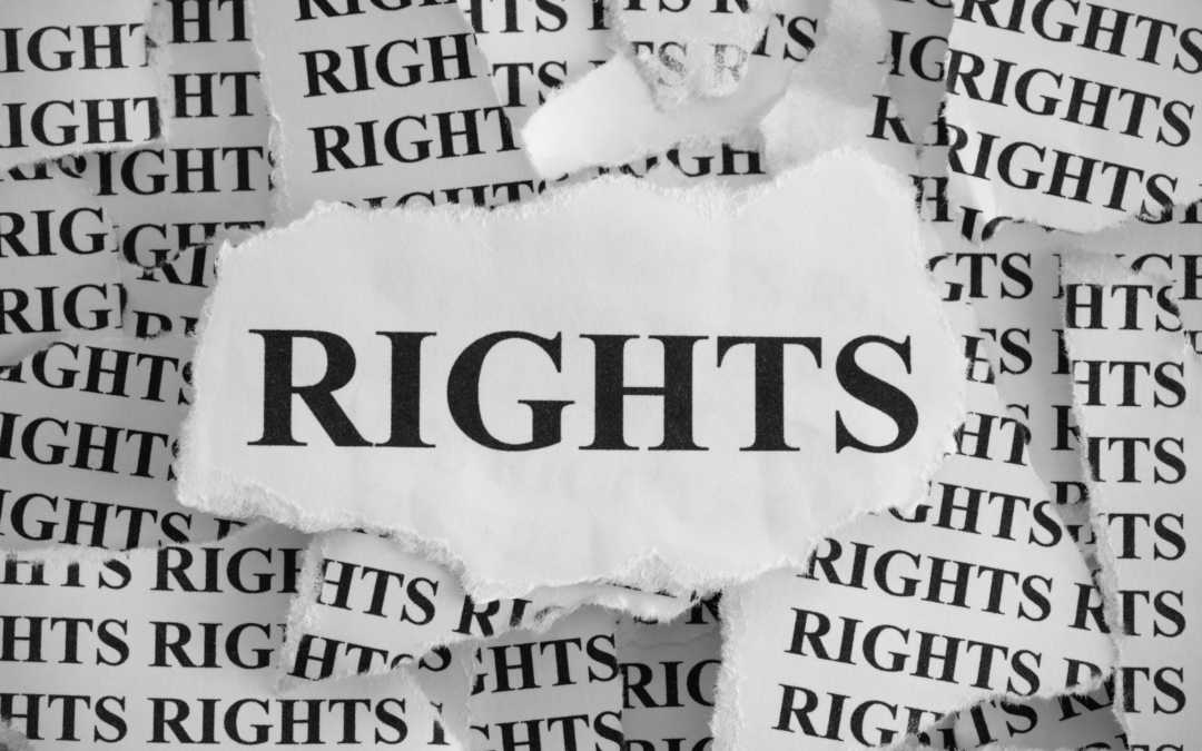 Interdicts Explained: How to Urgently Protect Your Rights