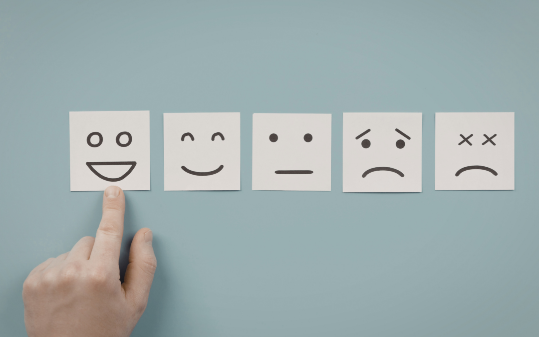 A Practical Guide to Curatorship Applications